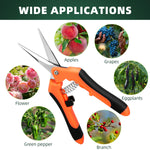 Load image into Gallery viewer, EWPJDK 3 Pack Garden Pruning Shears, Stainless Steel Shears, Gardening Shears, Scissors, Garden Clippers, Pruning Snips, Pruning Shears for Gardening Tools
